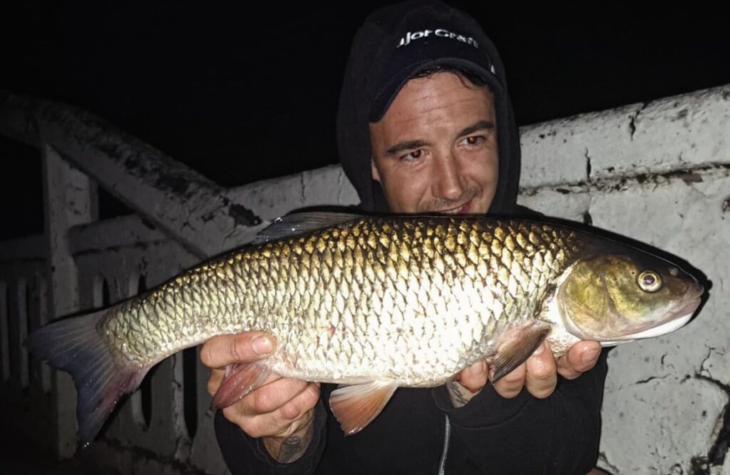 Chub Fishing at Night with Lures