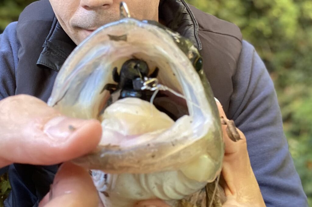 FiTU Fishing Tungsten Ned Head