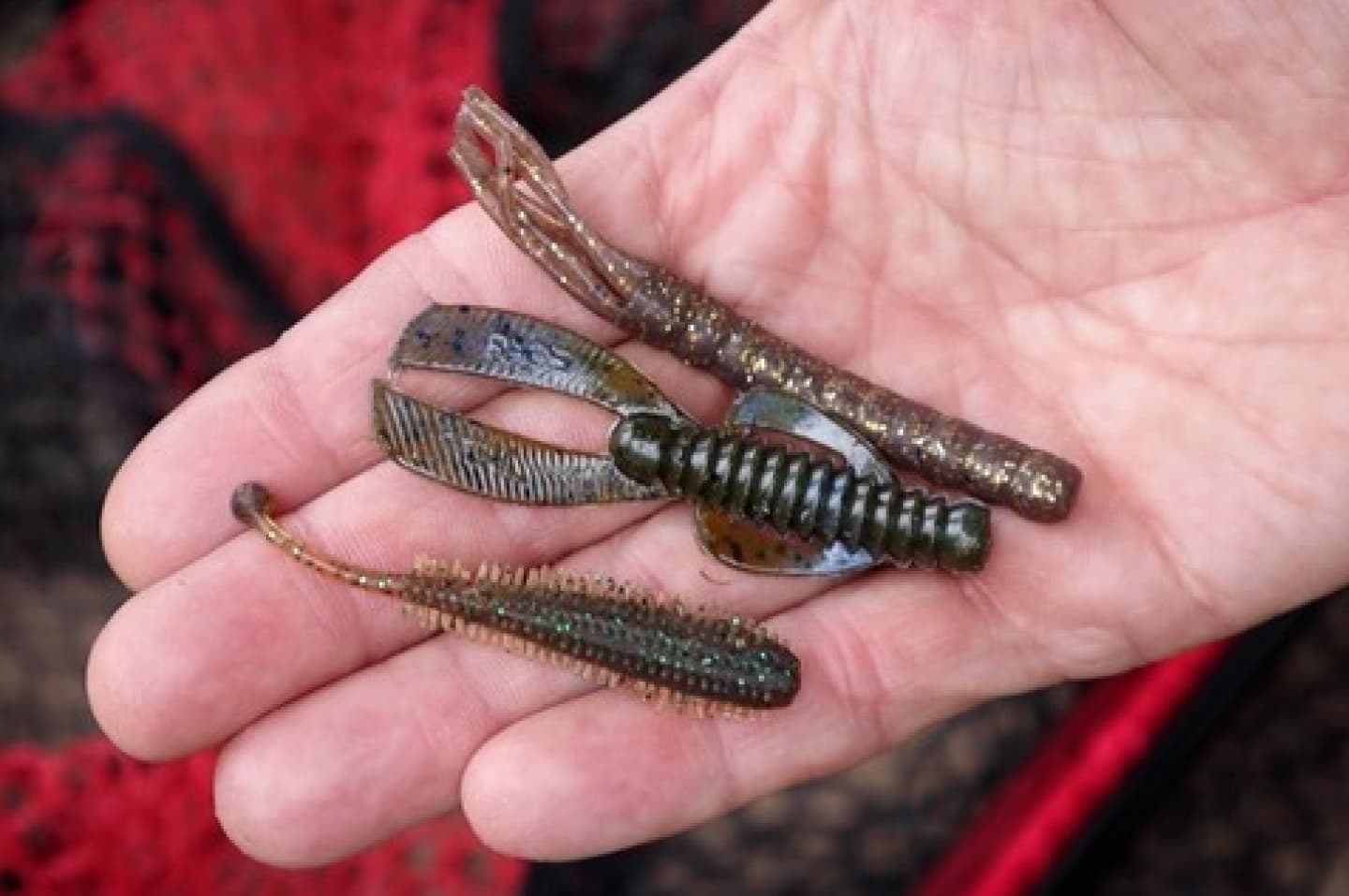 how to catch giant perch this winter - nick marsh