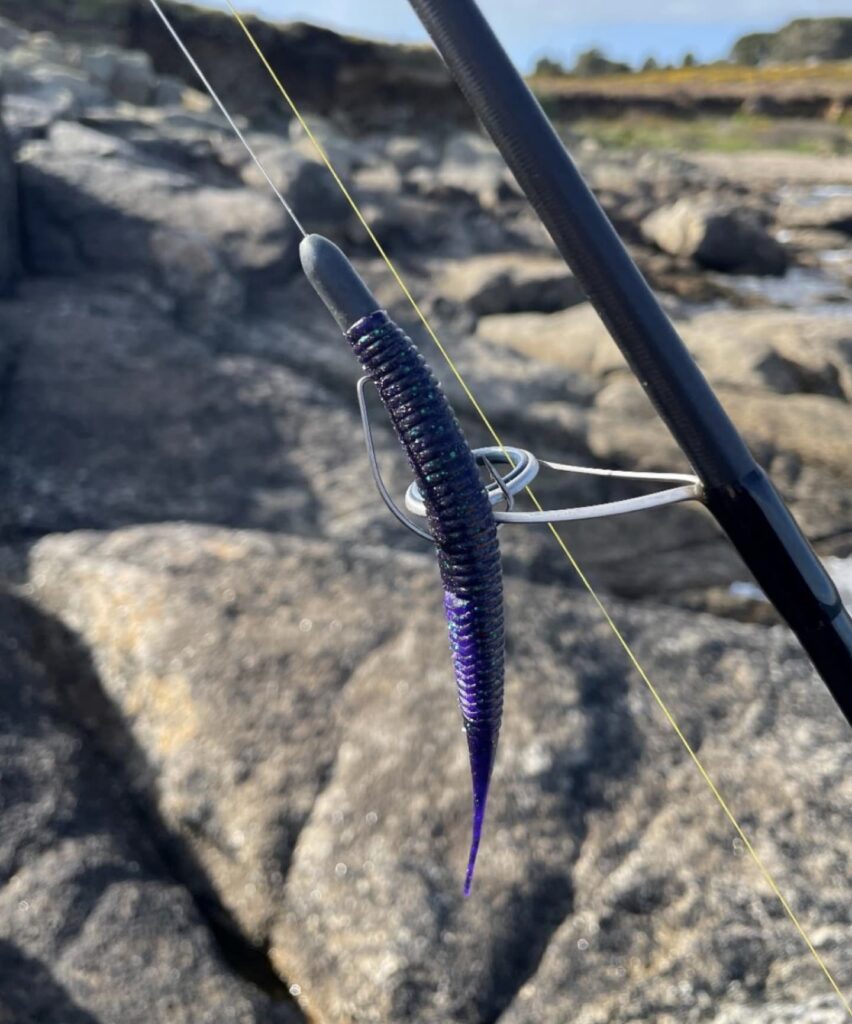 Lure fishing for ballen wrasse
