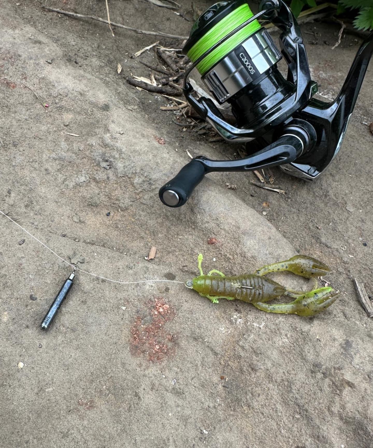 Fishing the free rig for perch in the UK