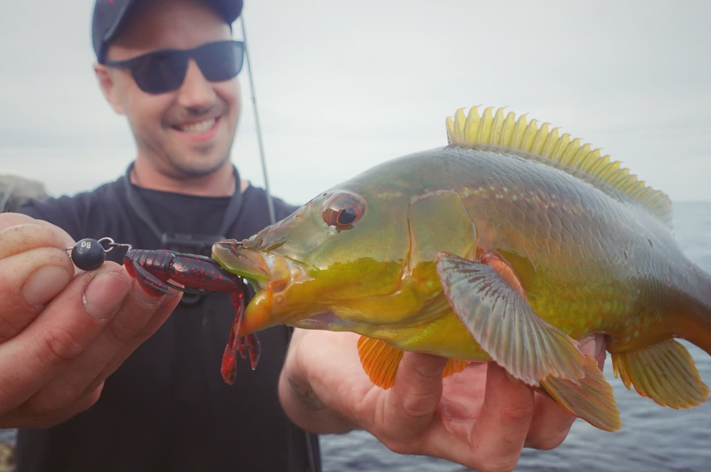 Tungsten cheb heads for lure fishing in the uk