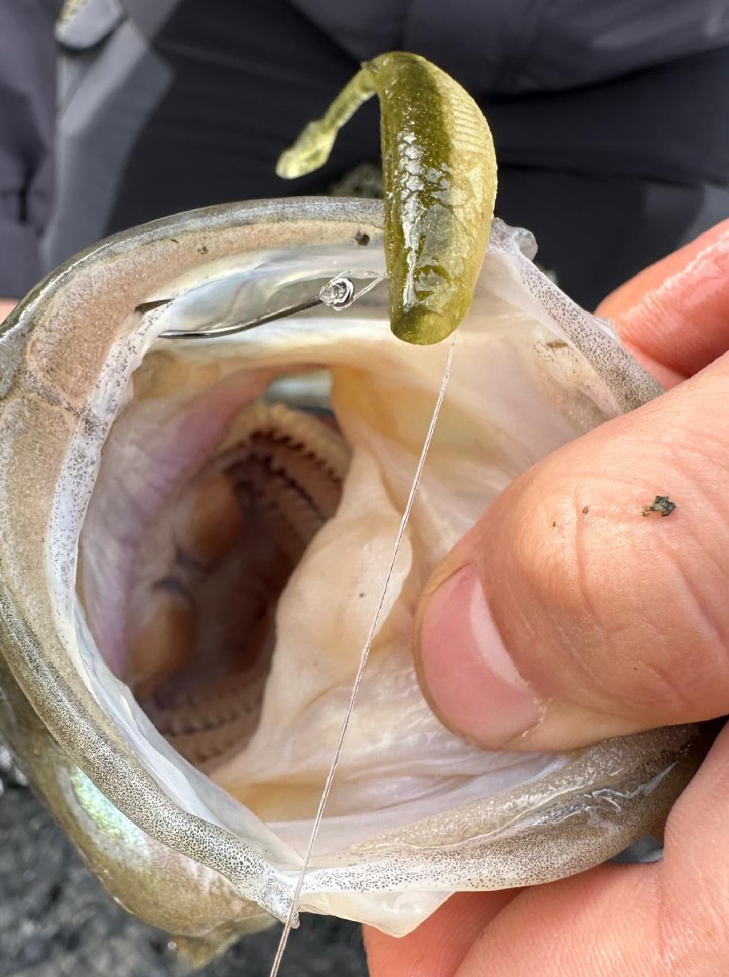 Tungsten drop shot weights for uk lure fishing