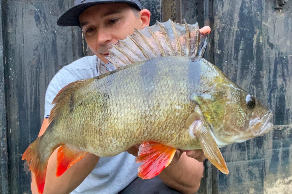 Tungsten dropshot weights for uk lure fishing