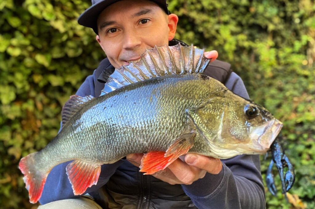 Tungsten ned heads for lure fishing in the uk