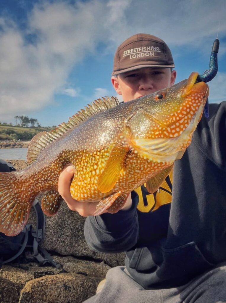 Tungsten bullet weights for lure fishing in the uk