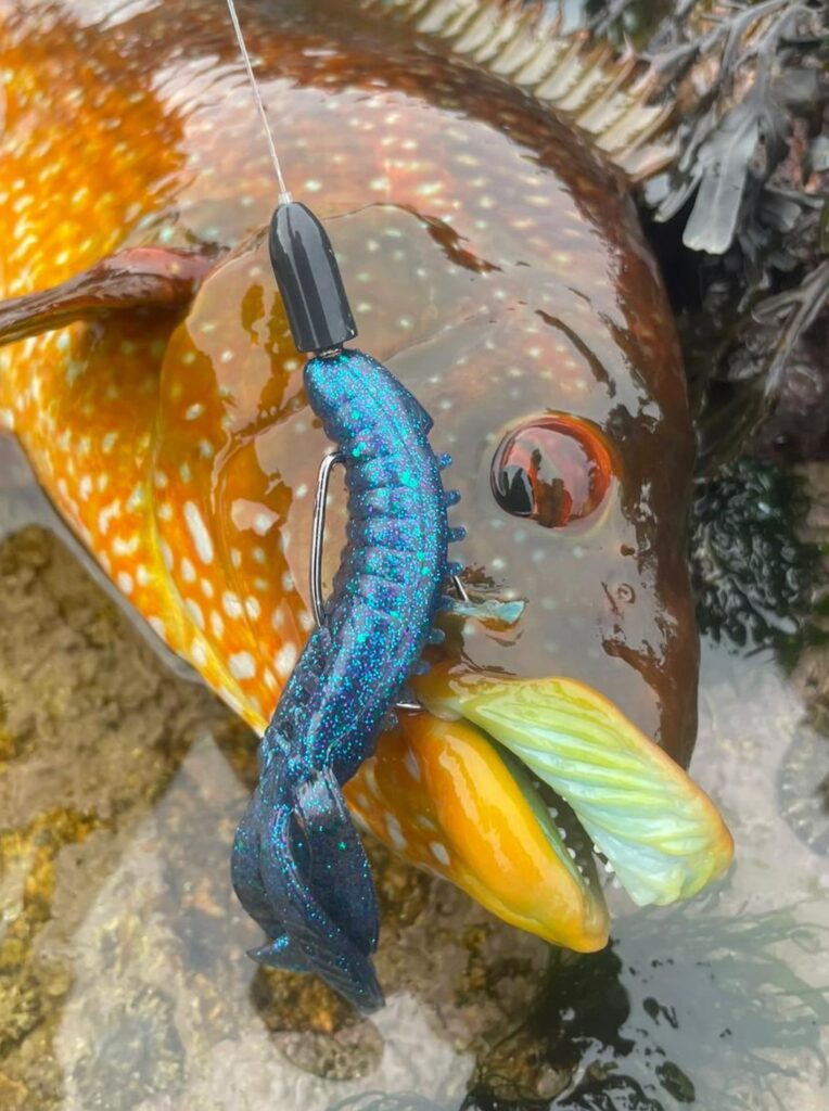 Tungsten bullet weights for lure fishing in the uk