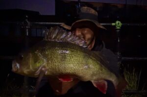 Fishing for perch at night - catch more on lures