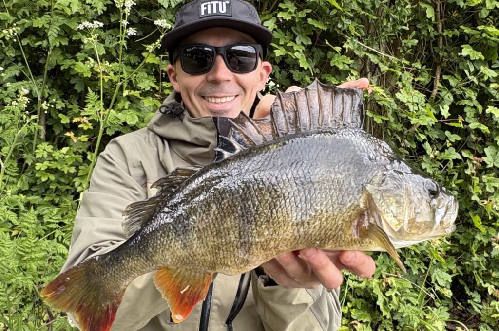 canal fishing for big perch