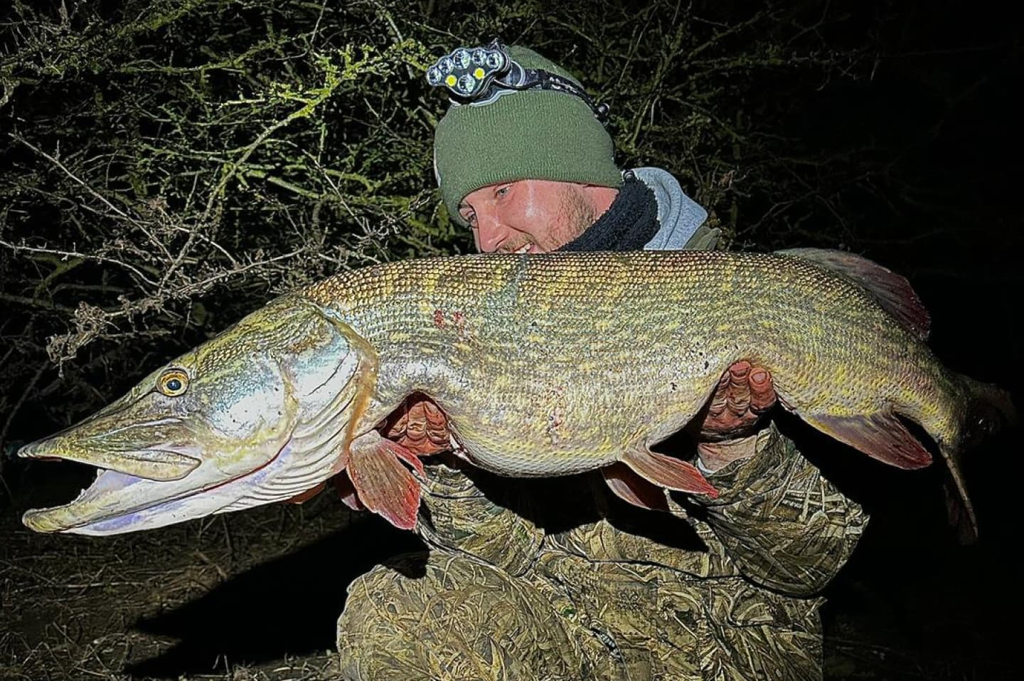 Night fishing for pike on lures