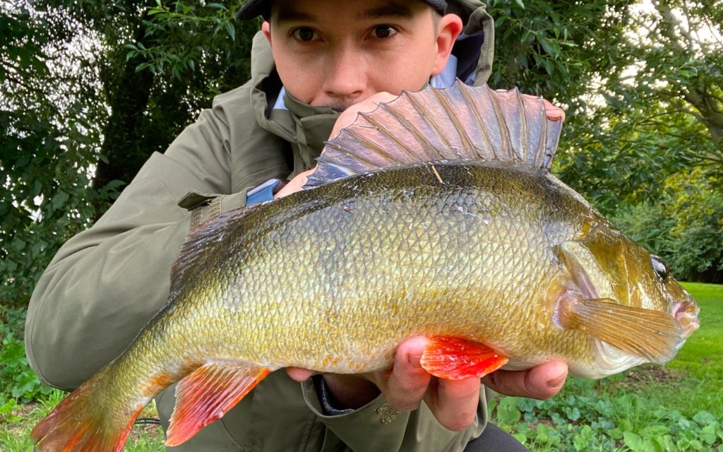 Predator & Lure Fishing Tips, Techniques & Guides