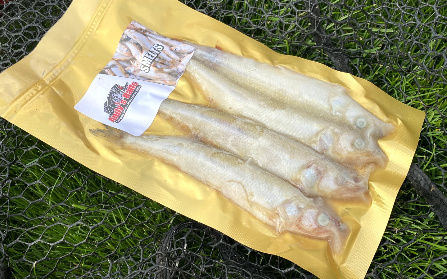 What is The Best Dead Bait for Pike? Predator Fishing World