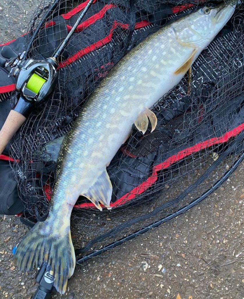 The Ultimate Guide To Canal Pike Fishing How To Find And Catch Them The Ultimate Guide To Canal Pike Fishing How To Find And Catch Them