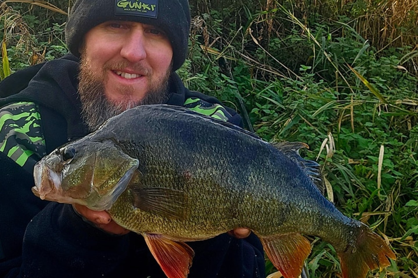 Ned Rig Fishing for Perch: A Complete Guide - Predator Fishing World