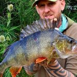 Ash Costa - How to catch big perch