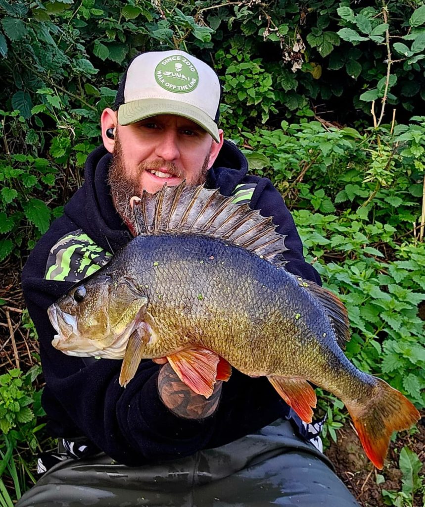 Ash Costa - How to catch big perch