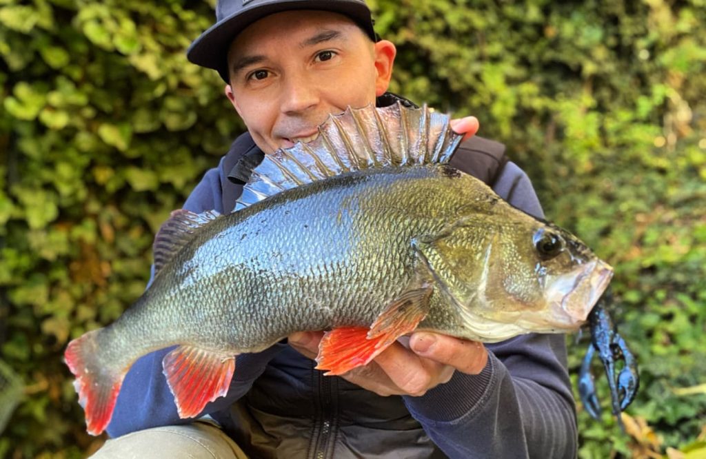 best craw lures for perch