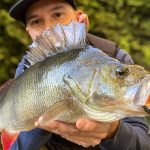 best craw lures for perch