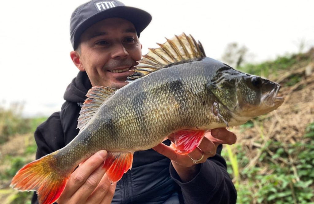 catch perch on craws