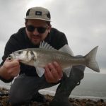 Urban sea bass fishing on lures