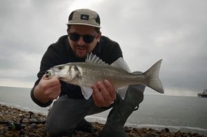 Urban sea bass fishing on lures