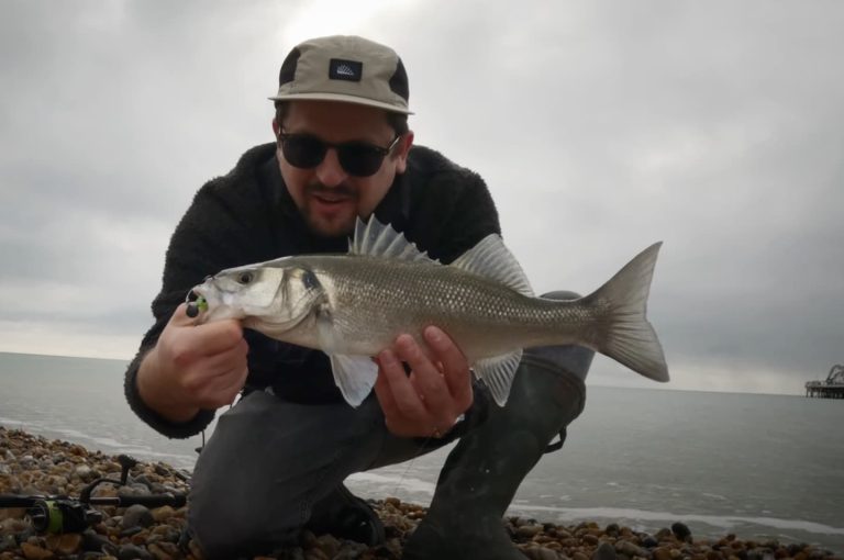 Urban sea bass fishing on lures