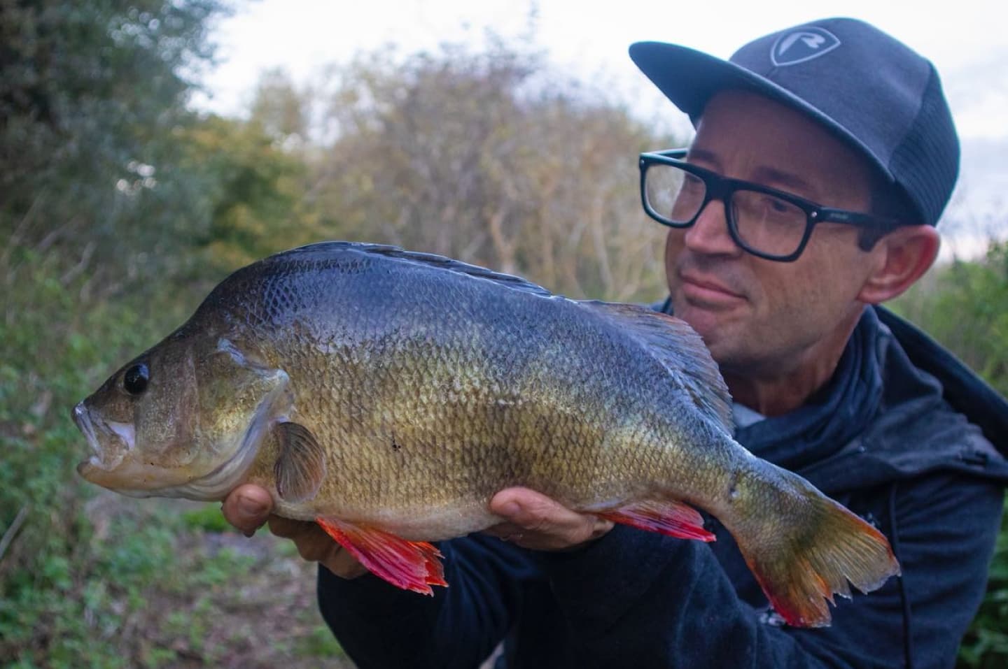 how to catch giant perch this winter - nick marsh