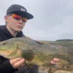 Lure fishing for ballen wrasse