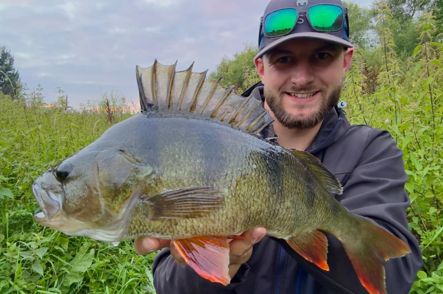 Fishing the free rig for perch in the UK
