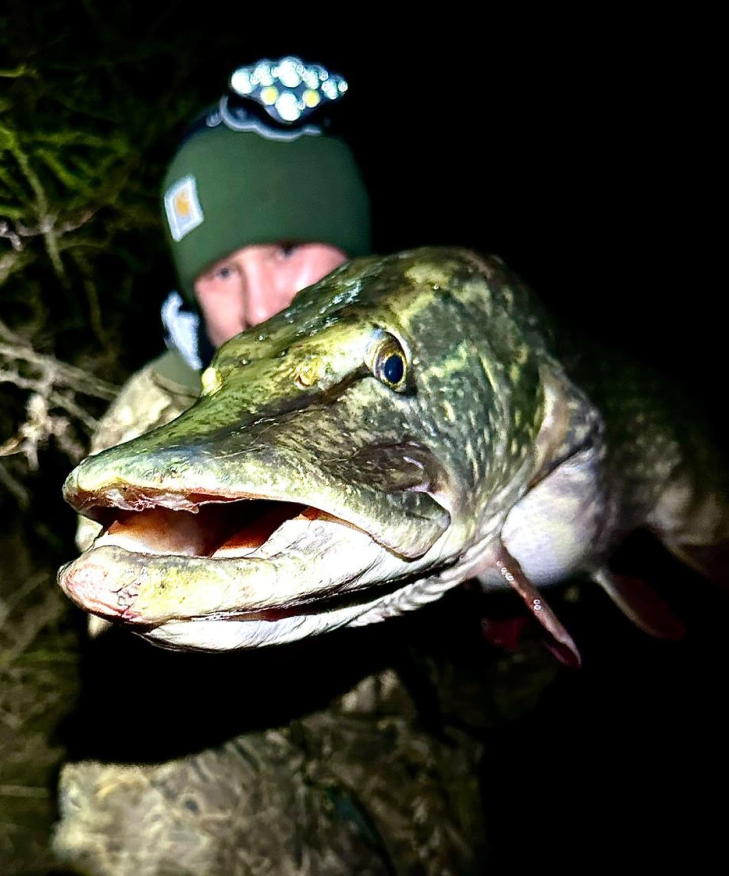 Fishing for pike at night - lure fishing for pike at night