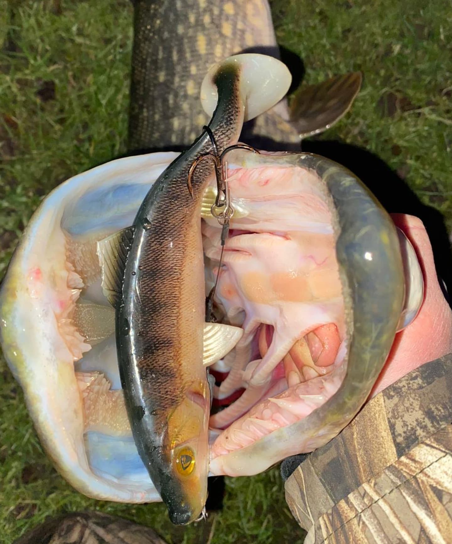 Fishing for pike at night - lure fishing for pike at night