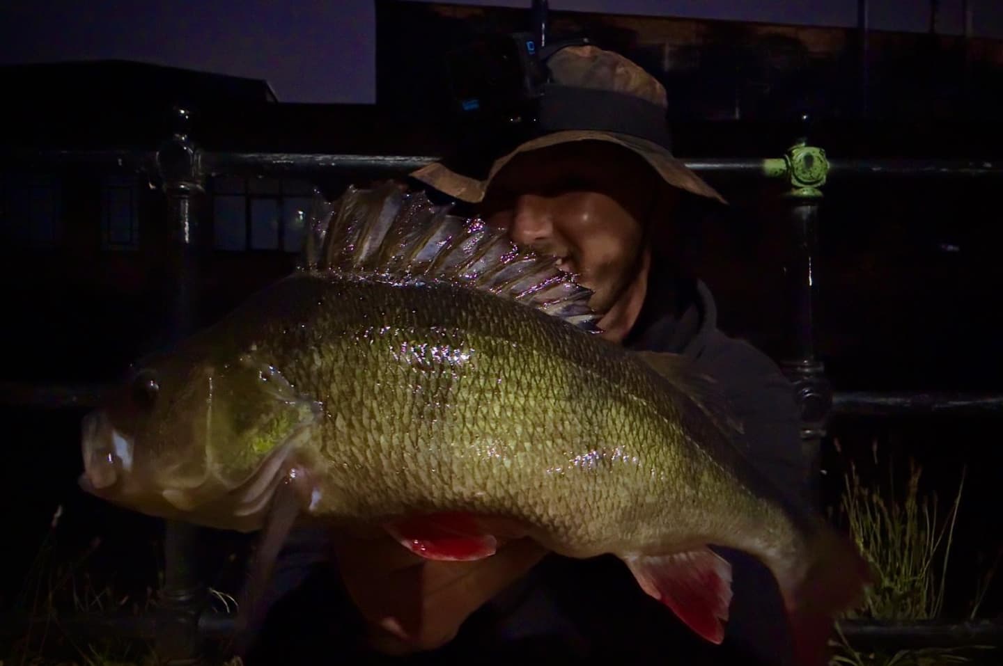 Fishing for perch at night - catch more on lures